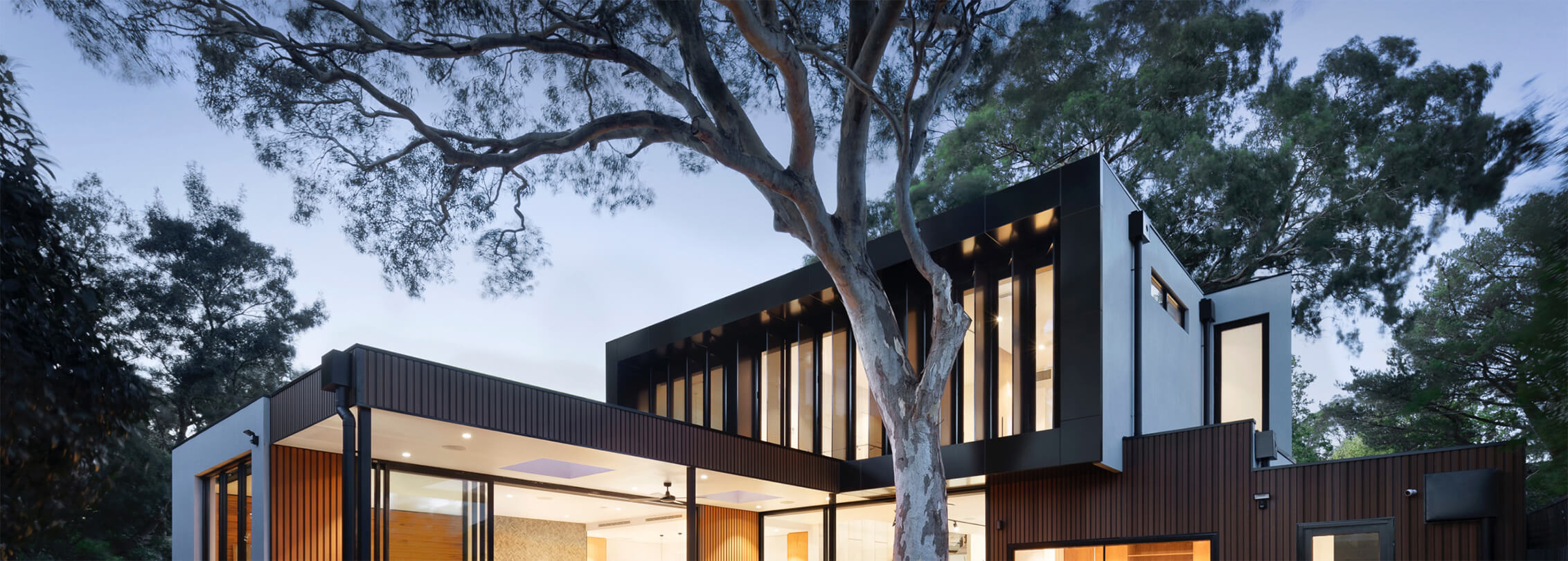 Visuel - Service Gestion de fortune